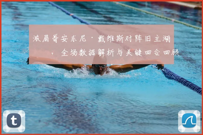 浓眉哥安东尼·戴维斯对阵旧主湖人,全场数据解析与关键回合回顾