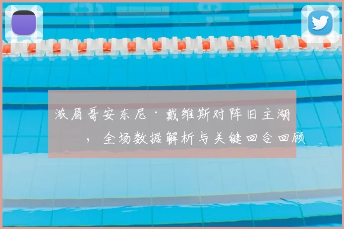 浓眉哥安东尼·戴维斯对阵旧主湖人,全场数据解析与关键回合回顾