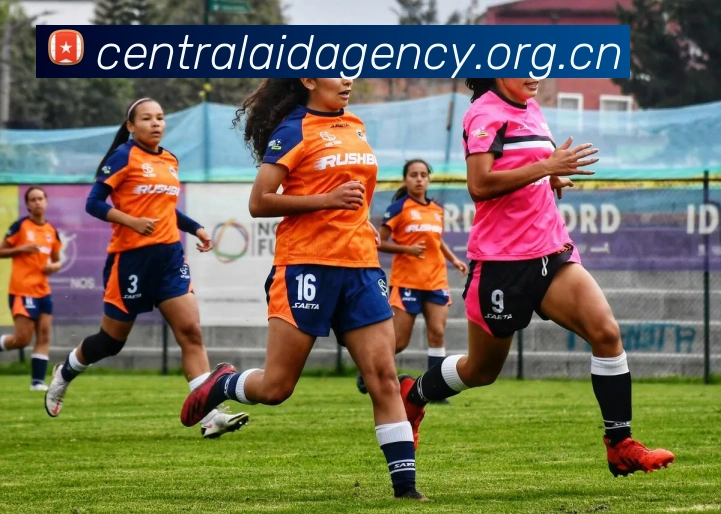 米兰体育官网登陆平台生态图